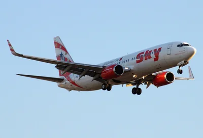 【2026年版】Instagramリールでバズる動画作成のコツ 初心者向け完全ガイド